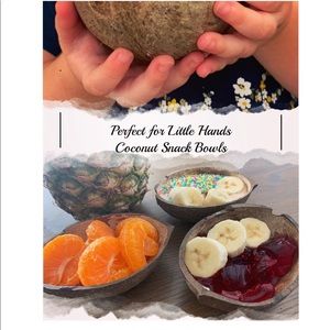 Coconut Snack Bowls set of 4